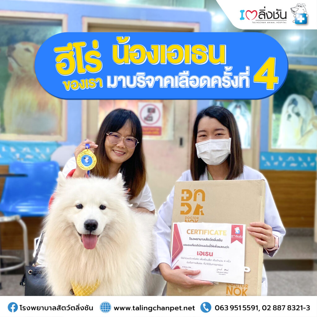 เอเธนบริจาคเลือด