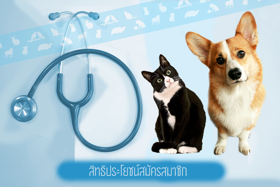 สิทธิประโยชน์สมาชิก1