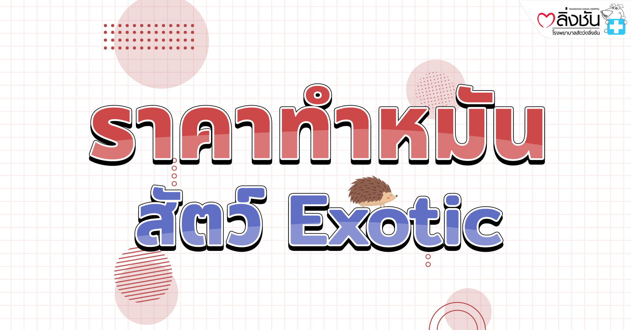 ทำหมันExotic