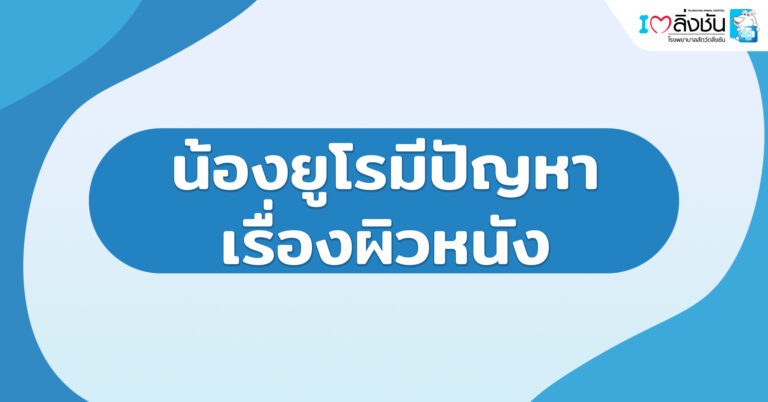 น้องยูโรมีปัญหาเรื่องผิวหนัง