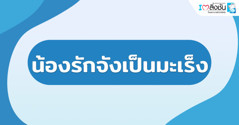 น้องรักจังเป็นมะเร็ง