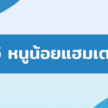 ฟูจิ หนูน้อยแฮมเตอร์