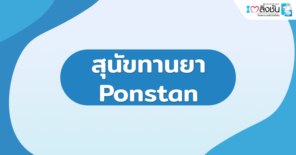 สุนัขทานยา Ponstan