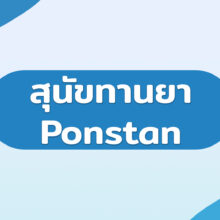 สุนัขทานยา Ponstan
