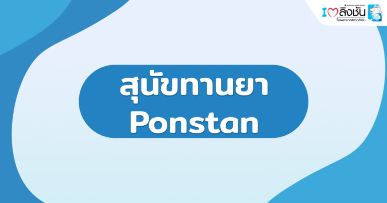 สุนัขทานยา Ponstan