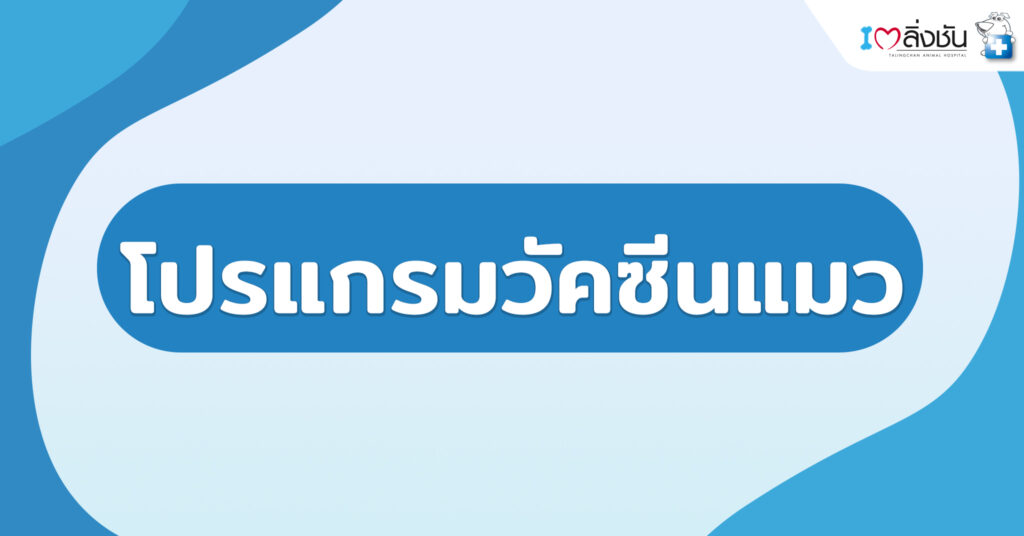 โปรแกรมวัคซีนแมว