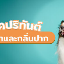 โรคปริทันต์ ปัญหาและกลิ่นปาก