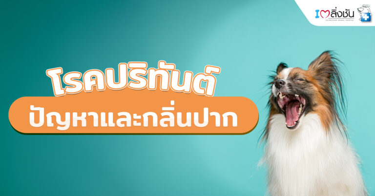 โรคปริทันต์ ปัญหาและกลิ่นปาก