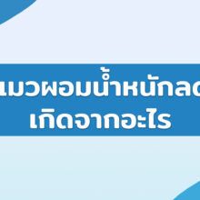 แมวผอมน้ำหนักลด