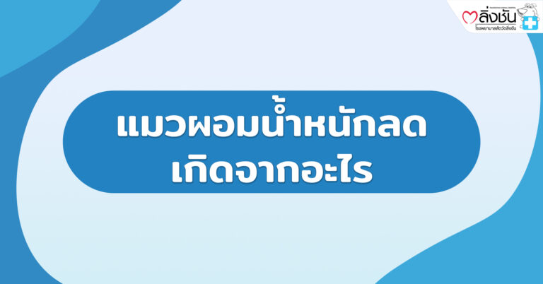 แมวผอมน้ำหนักลด