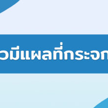 แมวมีแผลที่กระจกตา