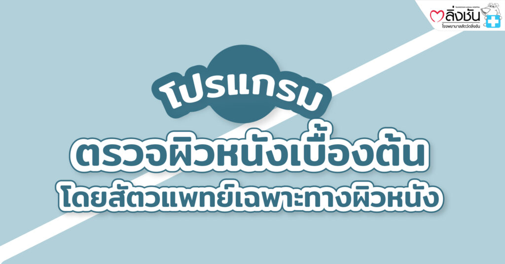 ตรวจผิวหนังเบื้องต้น2023