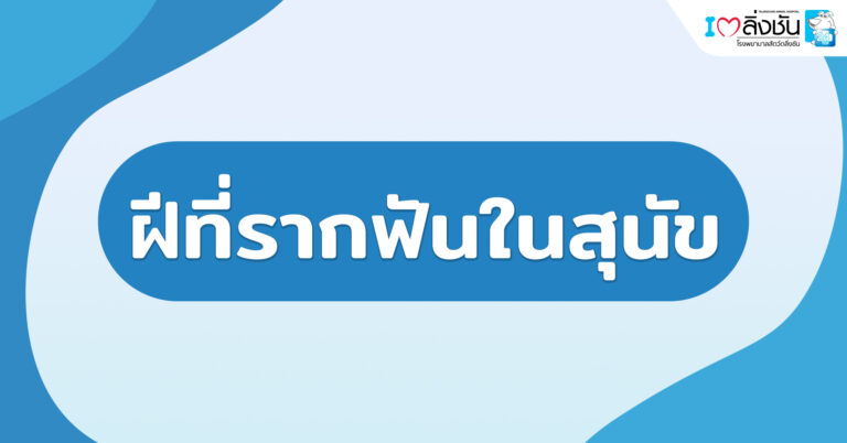 ฝีที่รากฟันในสุนัข