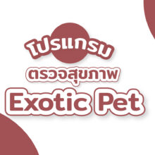 Exotic Pet