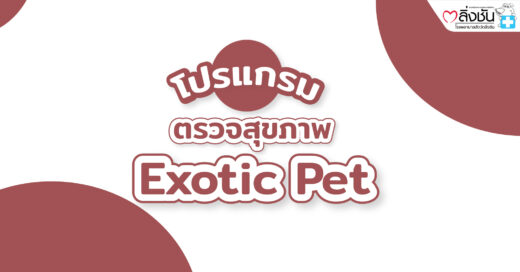 Exotic Pet