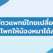 สัตวแพทย์ไทยเปลี่ยนข้อสะโพกให้น้องหมาได้สำเร็จ