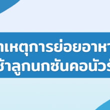 สาเหตุการย่อยอาหารช้าลูกนกซันคอนัวร์