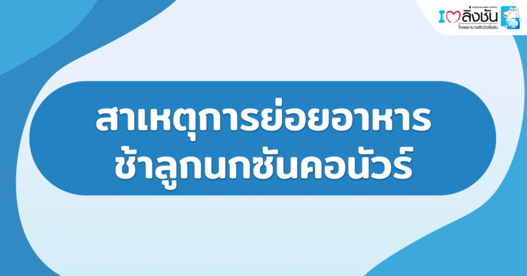 สาเหตุการย่อยอาหารช้าลูกนกซันคอนัวร์
