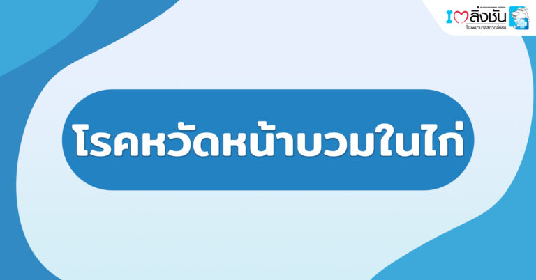 โรคหวัดหน้าบวมในไก่