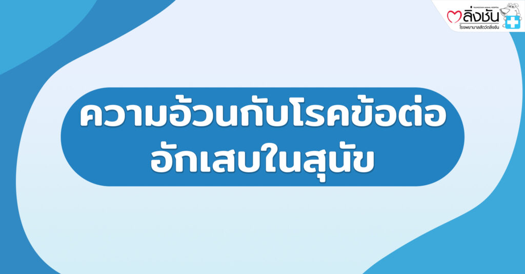 ความอ้วนกับโรคข้อต่ออักเสบในสุนัข