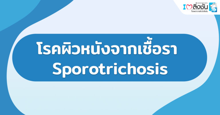 โรคผิวหนังจากเชื้อรา Sporotrichosis