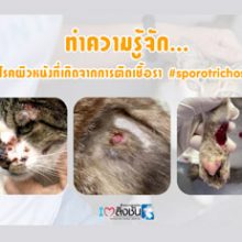 โรคผิวหนังที่เกิดจากการติดเชื้อรา1
