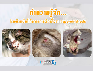 โรคผิวหนังที่เกิดจากการติดเชื้อรา1