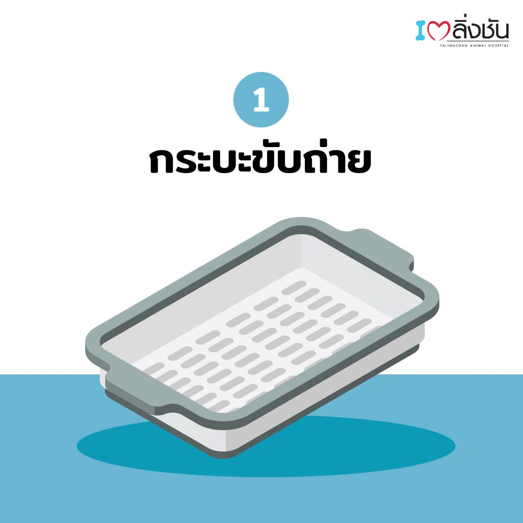 เตรียมกระบะทรายแมว