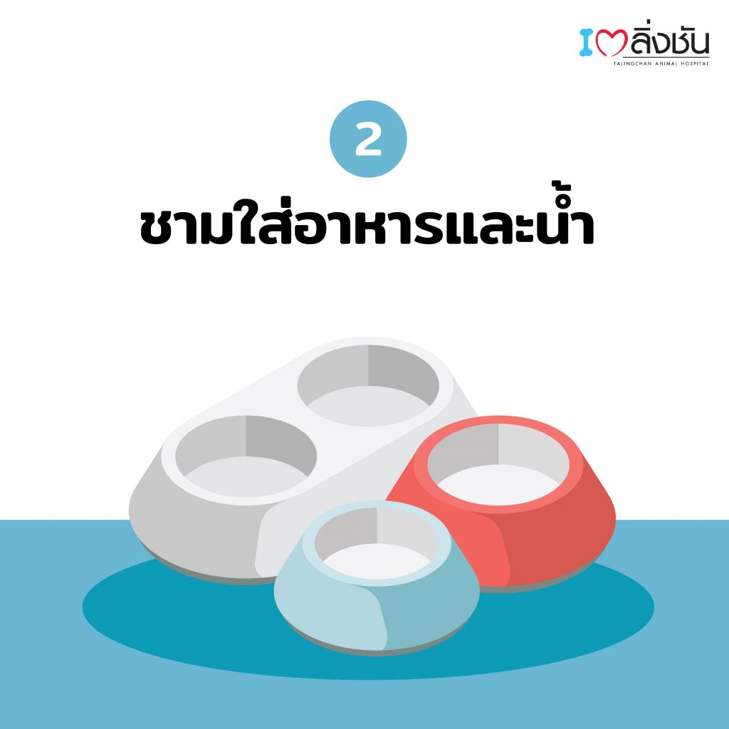 ชามข้าวแมว