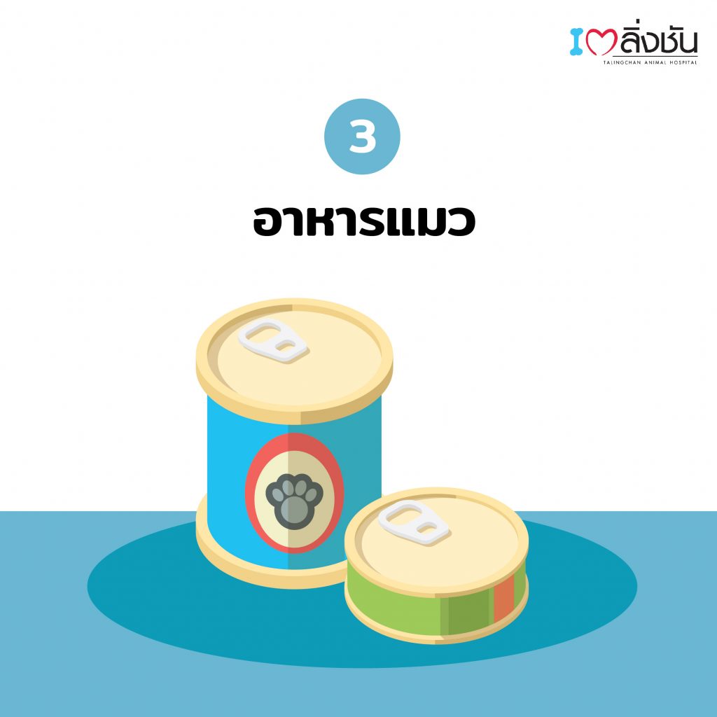 เลือกอาหารแมว