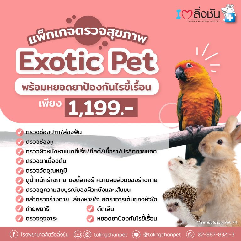 ตรวจสุขภาพ Exotic