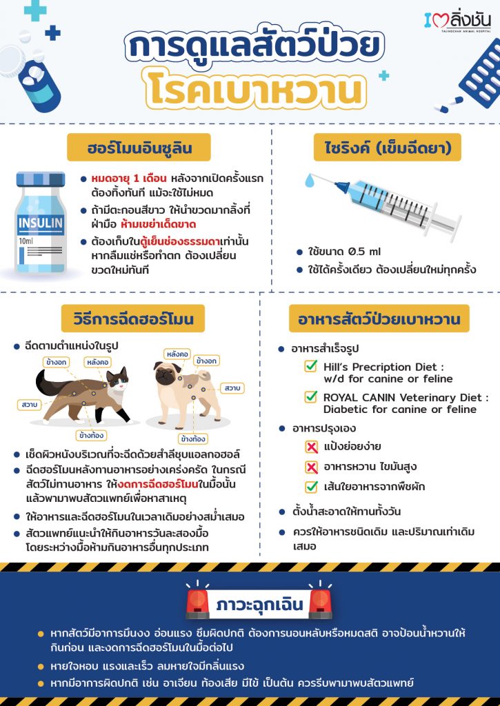 การดูแลสัตว์เป็นโรคเบาหวาน