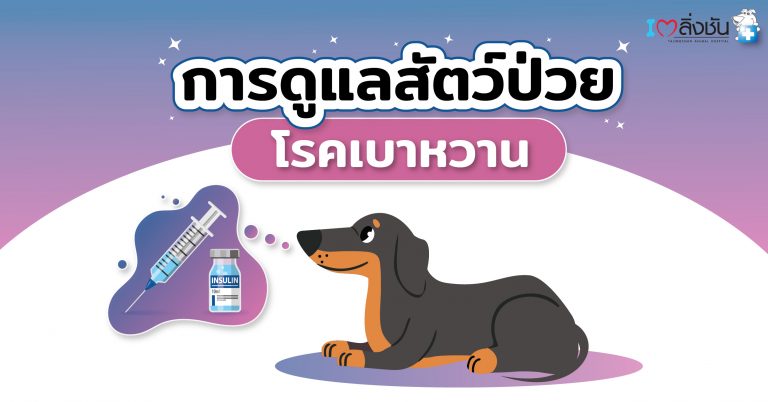 การดูแลสัตว์เป็นเบาหวาน