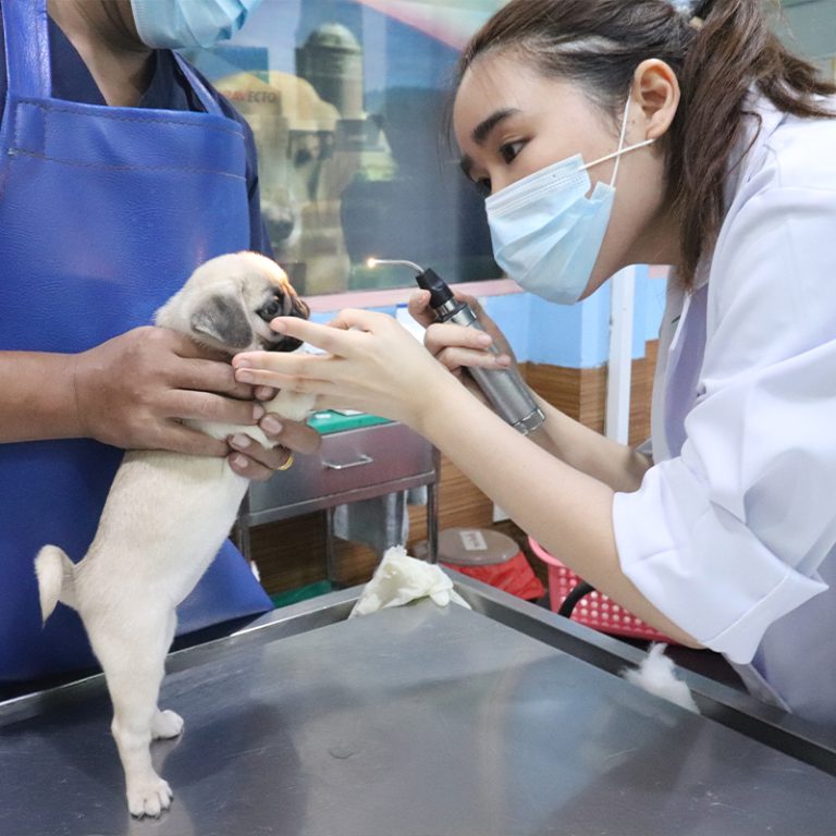 ตรวจ