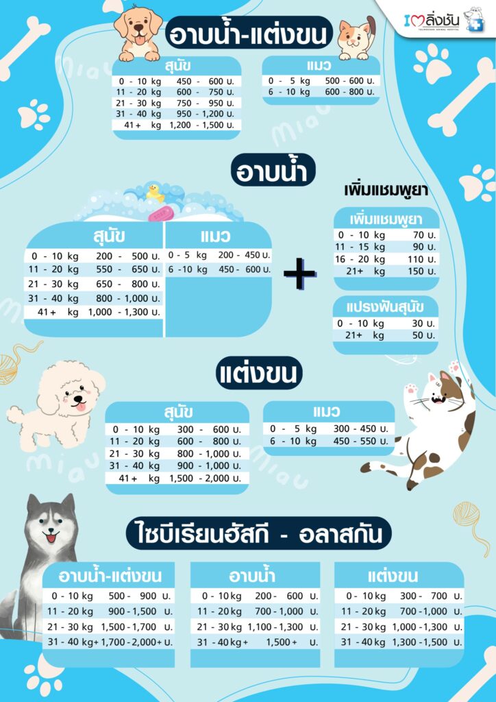 บริการอาบน้ำตัดขน