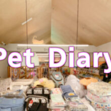 Pet Diary1