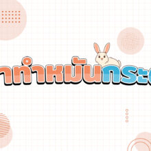 ทำหมันกระต่าย