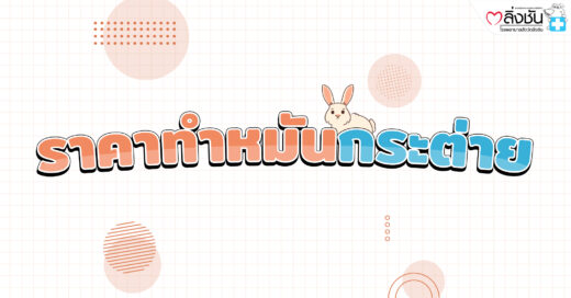 ทำหมันกระต่าย