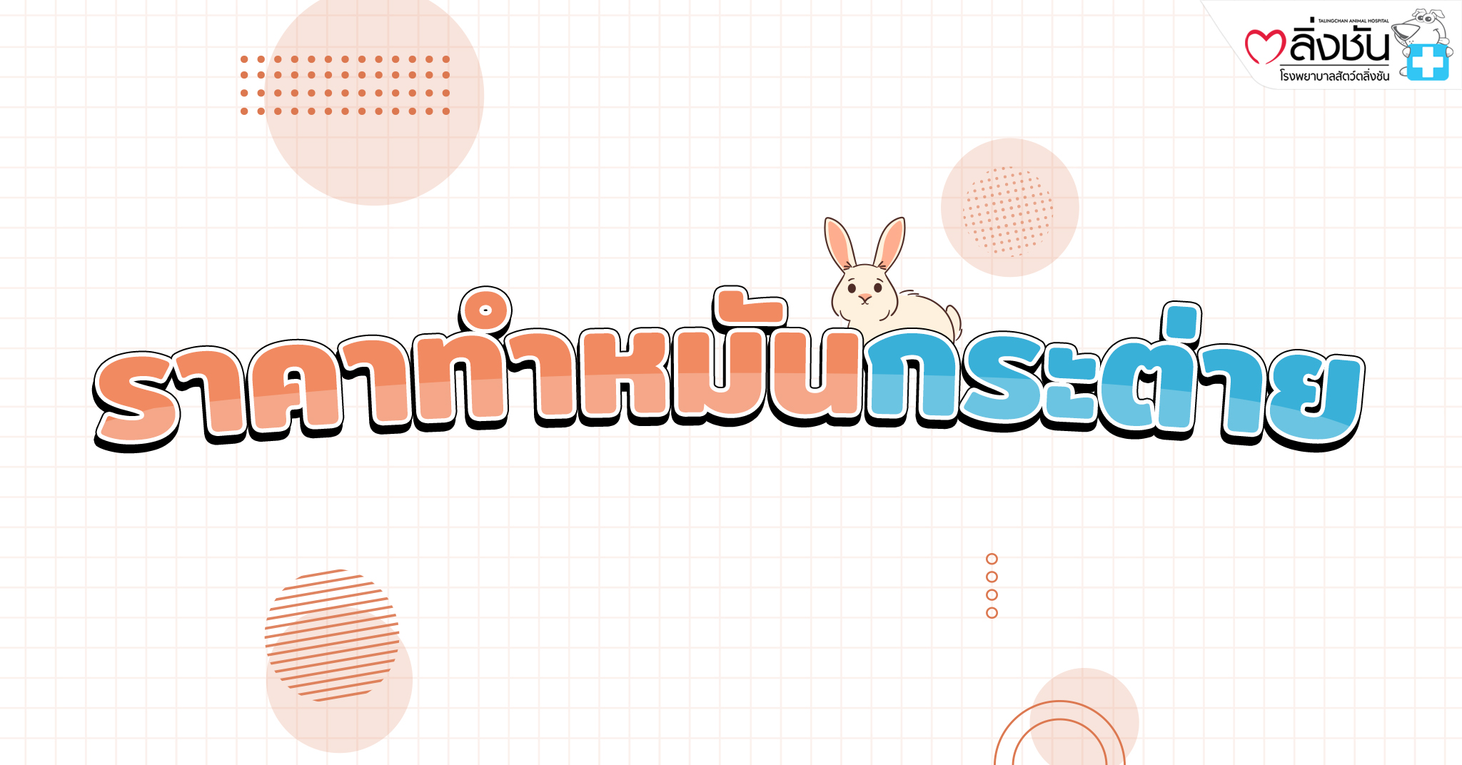ทำหมันกระต่าย