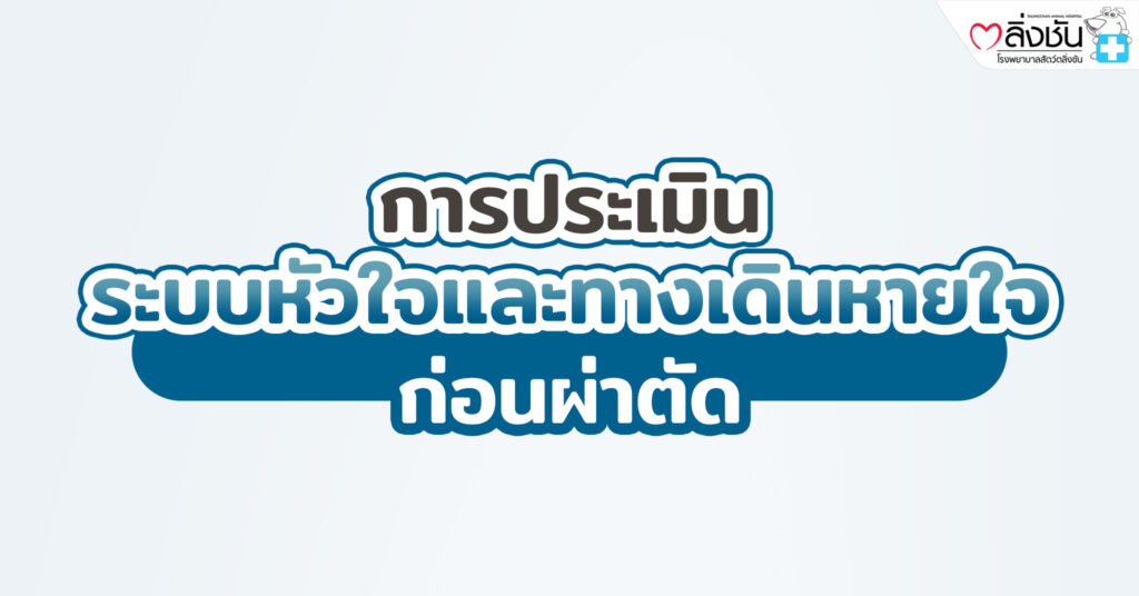 การประเมินระบบหัวใจและทางเดินหายใจ