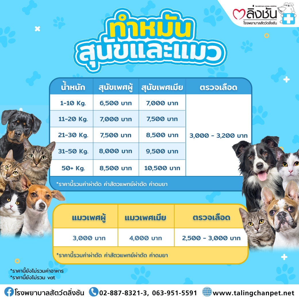 ทำหมันสุนัข