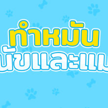 ทำหมันสุนัขและแมว