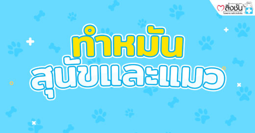 ทำหมันสุนัขและแมว