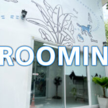 Grooming12