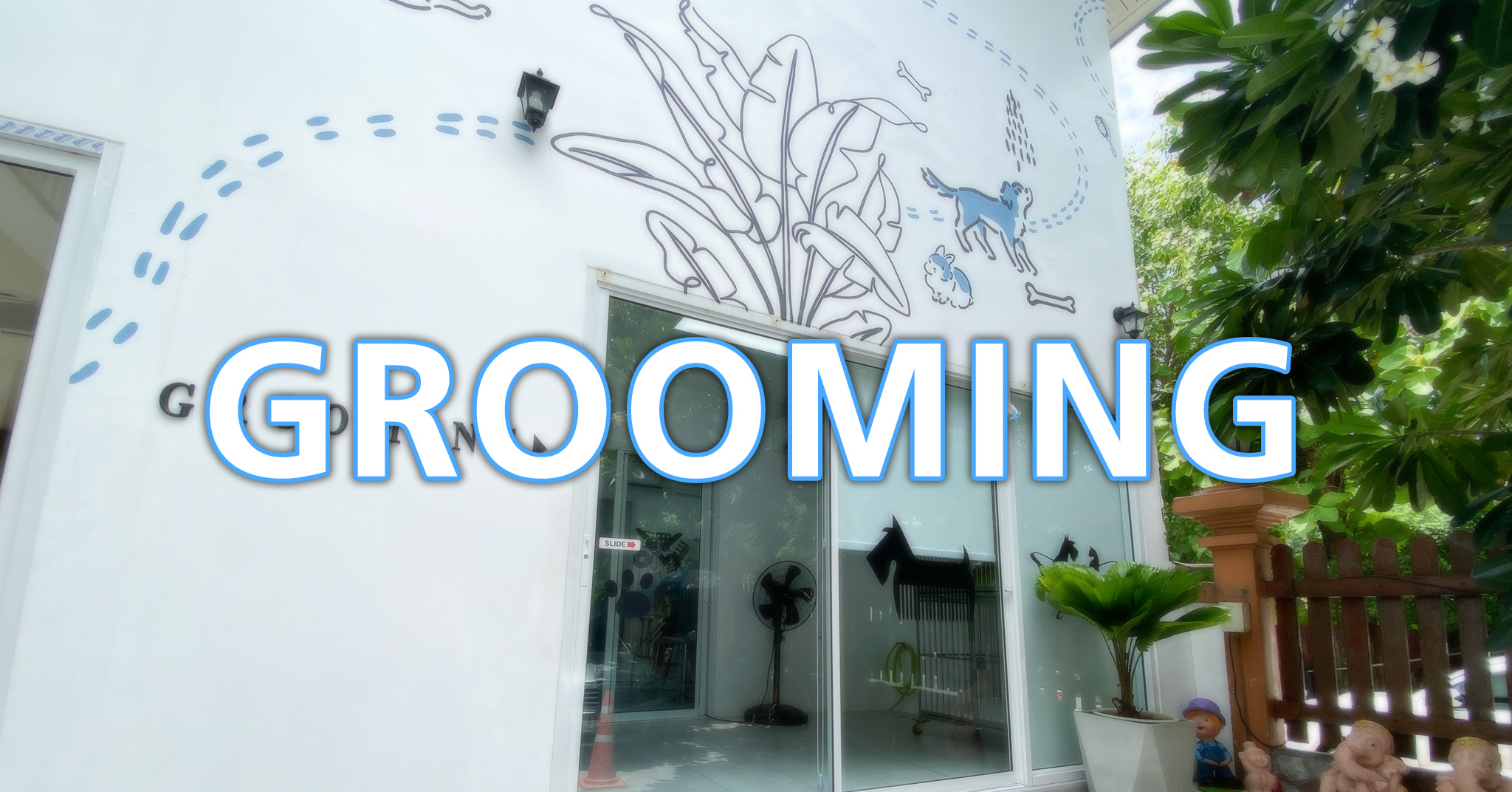 Grooming12