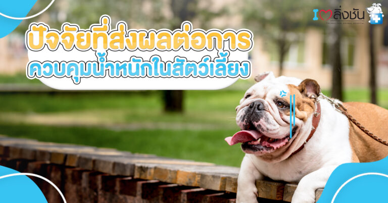 ปัจจัยที่ส่งผลต่อการควบคุมน้ำหนักในสัตว์เลี้ยง