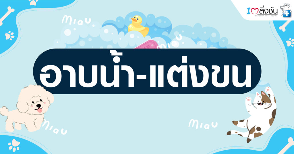 อาบน้ำแต่งขน1