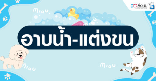 อาบน้ำแต่งขน1