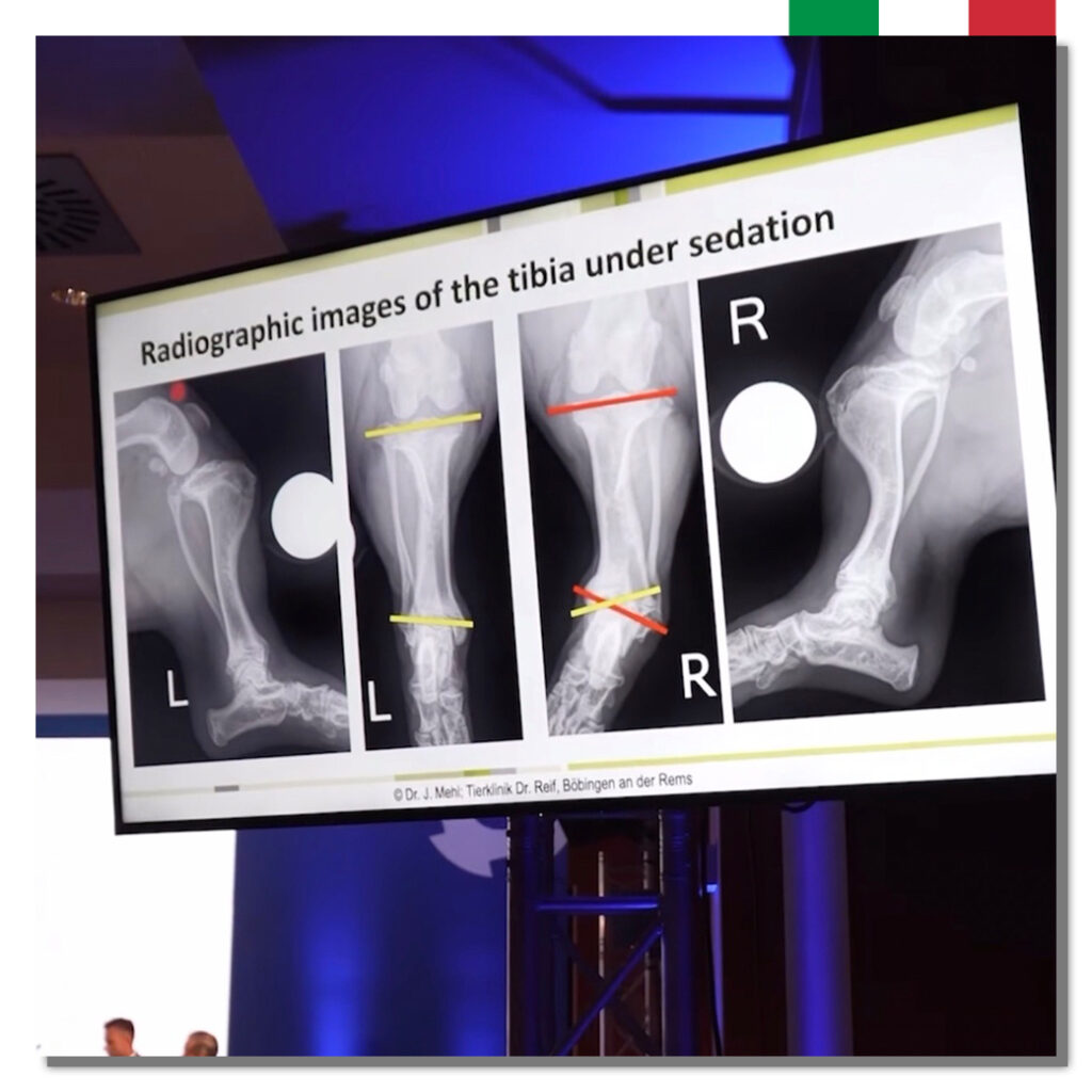 Intrauma IV Symposium4