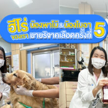 บริจาคเลือด15